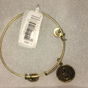 Alex and ani S charm bracelet